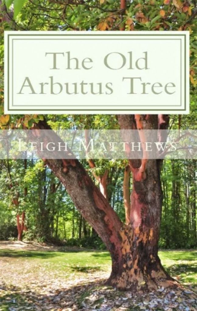 The Old Arbutus Tree